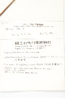 天茄兒藏品圖，第2張