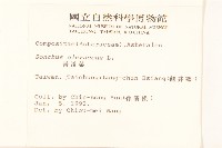 苦滇菜、苦菜藏品圖，第2張