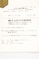 菜欒藤藏品圖，第2張