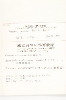 菜欒藤藏品圖，第2張