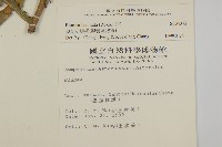 裂葉艾納香藏品圖，第2張