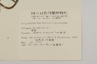 鱧腸藏品圖，第2張