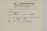 鱧腸藏品圖，第2張