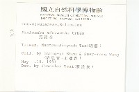 馬蹄金藏品圖，第2張