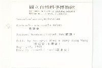 馬蹄金藏品圖，第2張