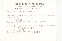 葶藶藏品圖，第2張