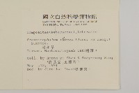 昭和草藏品圖，第2張