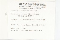 番仔藤藏品圖，第2張