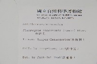 哈哼花藏品圖，第2張