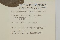 燈豎朽藏品圖，第2張