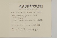 茯苓菜藏品圖，第2張