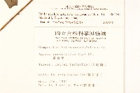 紫背草藏品圖，第2張