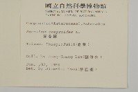 霍香薊藏品圖，第2張