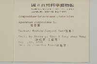 霍香薊藏品圖，第2張