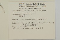 霍香薊藏品圖，第2張