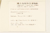 加拿大蓬藏品圖，第2張