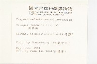 黃鵪菜藏品圖，第2張