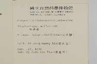 地膽草、毛蓮菜藏品圖，第2張