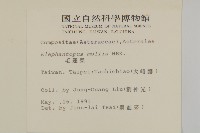 地膽草、毛蓮菜藏品圖，第2張