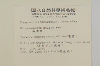 地膽草、毛蓮菜藏品圖，第2張