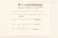 飛機草藏品圖，第2張