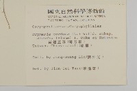 荷蓮豆草、菁芳草藏品圖，第2張