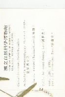 變葉馬交兒藏品圖，第2張