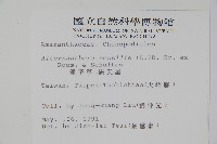 蓮子草藏品圖，第2張