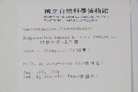 假川牛膝藏品圖，第2張