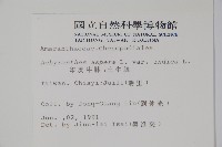 假川牛膝藏品圖，第2張