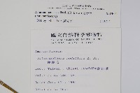 蓮子草藏品圖，第2張