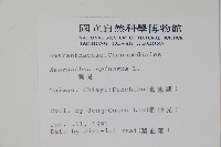 刺莧藏品圖，第2張