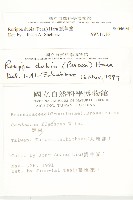 小葶藶藏品圖，第2張