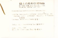 刀傷草藏品圖，第2張