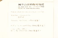 苦苣菜藏品圖，第2張