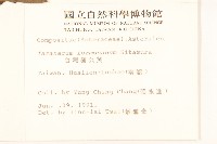 臺灣蒲公英藏品圖，第2張