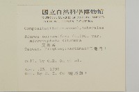 艾納香藏品圖，第2張