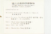 毛藥紅淡藏品圖，第2張