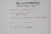 細葉十大功勞藏品圖，第2張