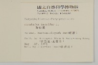 狗筋蔓藏品圖，第2張