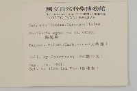 鵝兒腸藏品圖，第2張