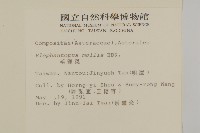 地膽草、毛蓮菜藏品圖，第2張