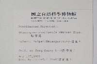 哈哼花藏品圖，第2張