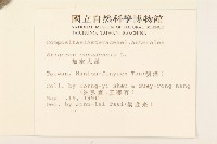 加拿大蓬藏品圖，第2張