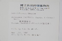 闊葉獼猴桃藏品圖，第2張