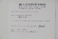 草野氏冬青藏品圖，第2張