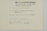 佩羅特木藏品圖，第2張