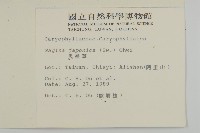 瓜槌草、漆姑草藏品圖，第2張