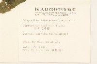 田代氏澤蘭藏品圖，第2張