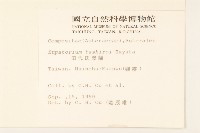 田代氏澤蘭藏品圖，第2張